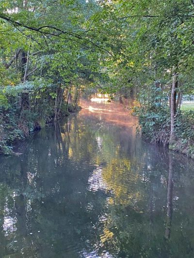 barfusspark-paddeln-kahnfahrten-01