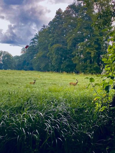 barfusspark-paddeln-kahnfahrten-06