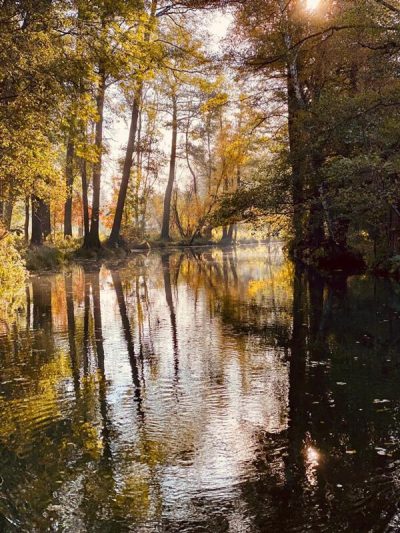 barfusspark-paddeln-kahnfahrten-07